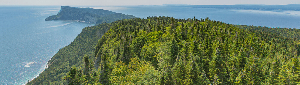 The panoramic view from the top of the lookout tower on cap bon ami in Gaspésie