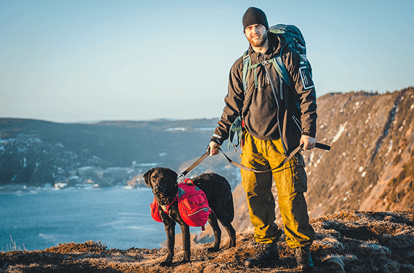Justin Barbour hiking up in Newfoundland with his dog Saku